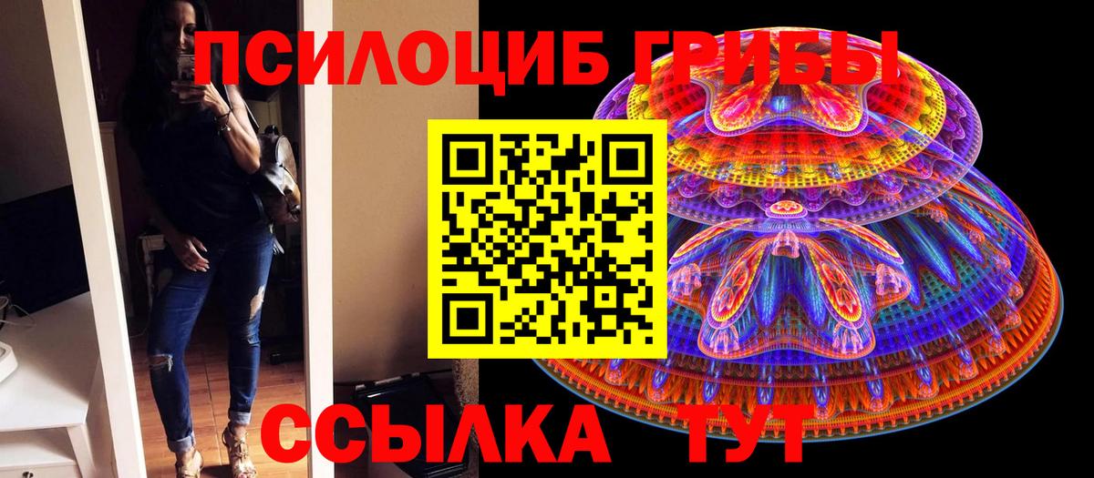Псилоцибиновые грибы Psilocybe  Вход с VPN  Междуреченск  Псилоцибиновые грибы GOLDEN TEACHER 