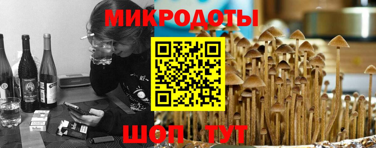 Галлюциногенные грибы Cubensis Междуреченск